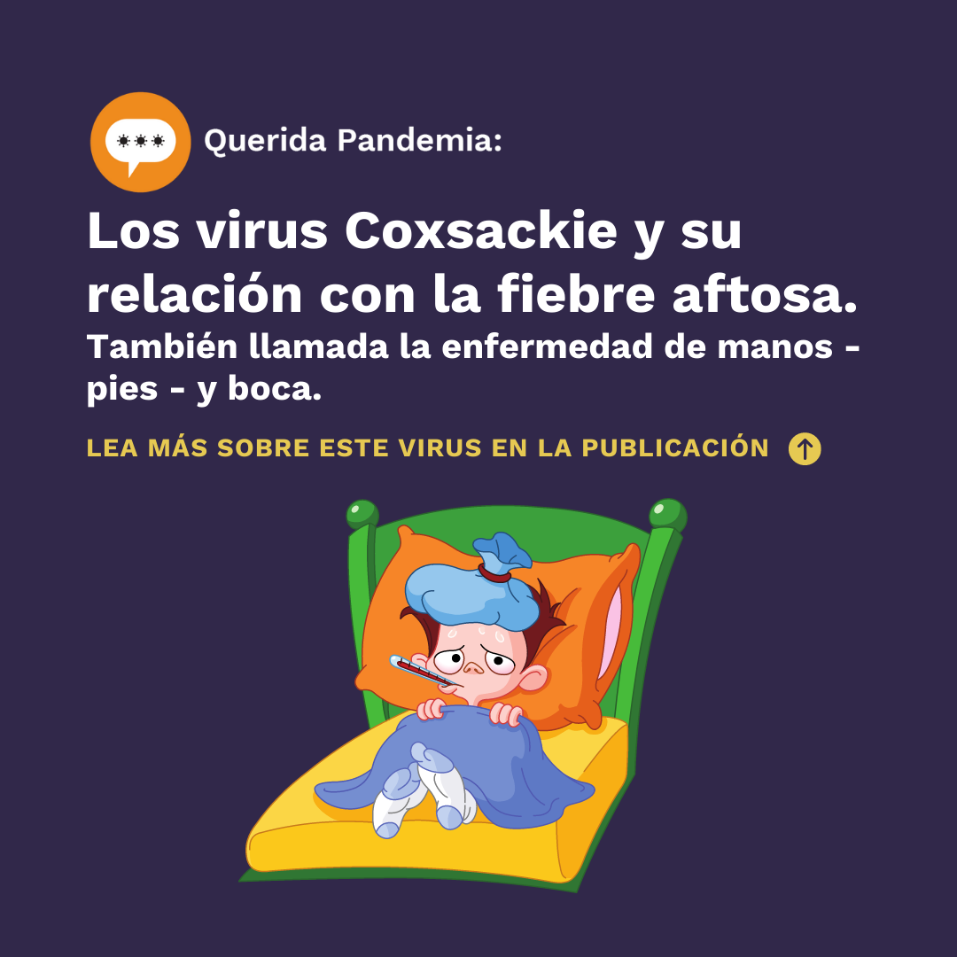 Los Virus Coxsackie Y La Fiebre Aftosa Those Nerdy Girls