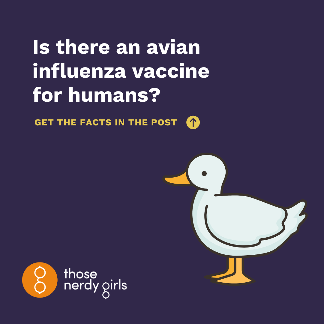 Is There An Avian Influenza Aka Bird Flu Or H5n1 Vaccine For Humans Is There An Avian Influenza Aka Bird Flu Or H5n1 Vaccine For Humans