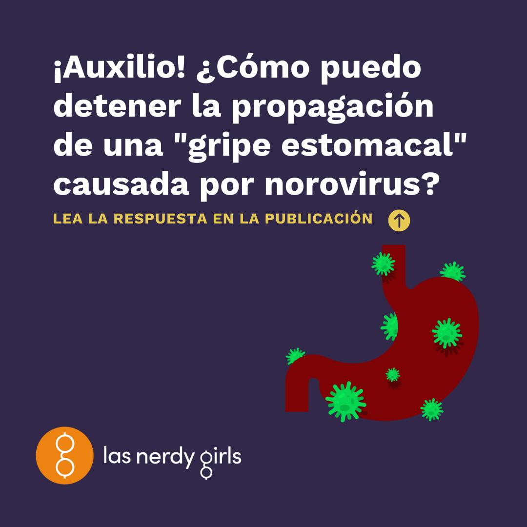 ¡auxilio ¿cómo Puedo Detener La Propagación De Una Gripe Estomacal Causada Por Norovirus 3411